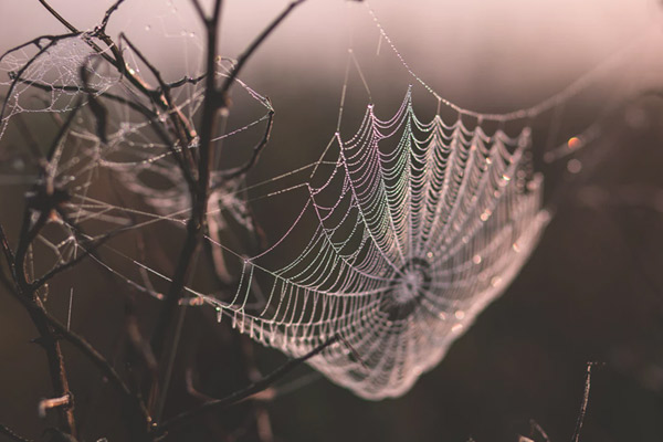 web-maintenance-side-image